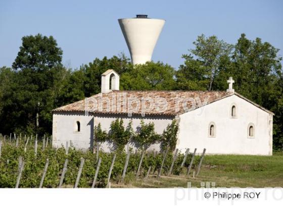 Patrimoine et vignoble - Vignoble Bordelais (33V25104.jpg)