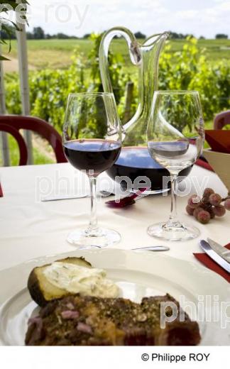 Dgustation - Vin de Bordeaux (33V25311.jpg)