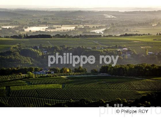 Paysage viticole - Vignoble Bordelais (33V25927.jpg)