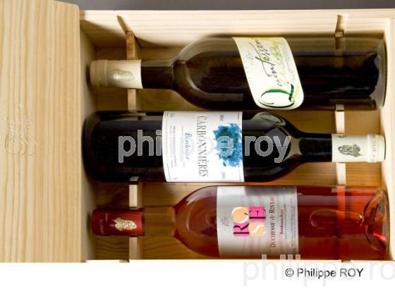 Dgustation - Vignoble Bordelais (33V26315.jpg)