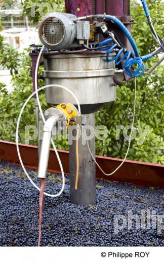 Vinification - Vignoble Bordelais (33V26516.jpg)