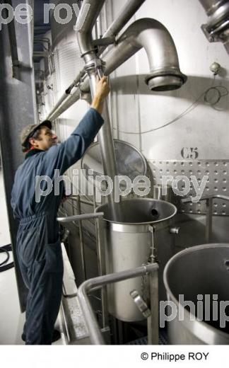 Vinification - Vignoble Bordelais (33V26533.jpg)