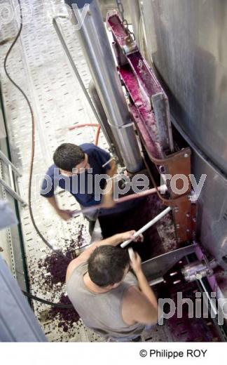 Vinification - Vignoble Bordelais (33V26904.jpg)