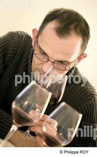Dgustation professionnelle - Vin de France (33V28128.jpg)