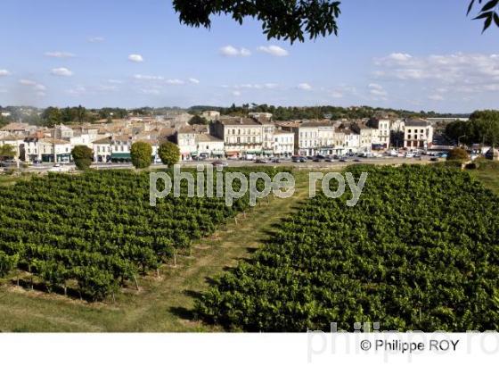 Blaye - Vignoble Bordelais (33V28205.jpg)
