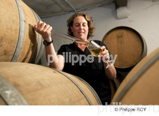 Portrait - Vignoble Bordelais (33V28936.jpg)