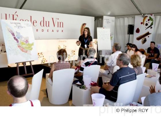 Fte du vin - Bordeaux (33V29018.jpg)