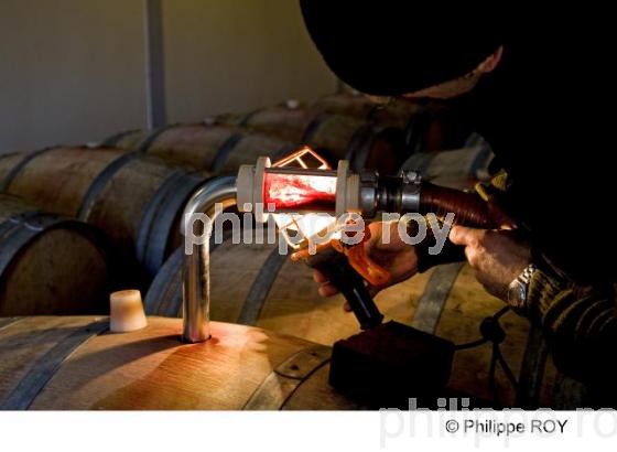 Travail de chai - Vignoble Bordelais (33V29201.jpg)