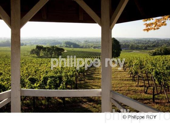 Chteau viticole - Vignoble Bordelais (33V29823.jpg)