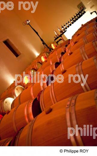 Chteau viticole - Vignoble Bordelais (33V30028.jpg)