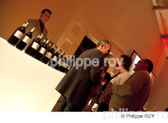 Chteau viticole - Vignoble Bordelais (33V30029.jpg)