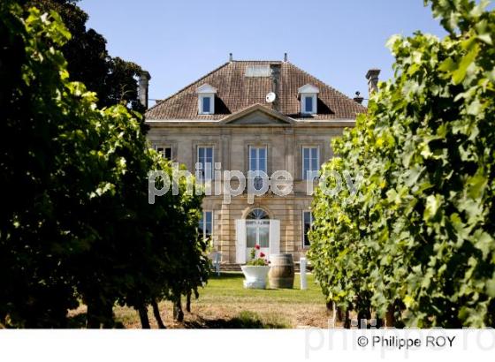 Chteau viticole - Vignoble Bordelais (33V30108.jpg)