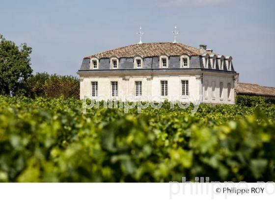 Vignoble de Bordeaux, Fronsac (33V30931.jpg)