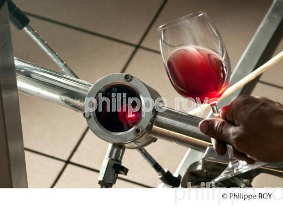 Vinification, Vins de Bordeaux, Filtration (33V31039.jpg)