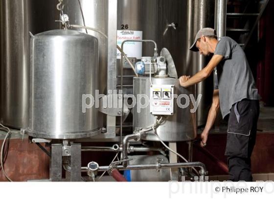 Vinification, Vins de Bordeaux, Filtration (33V31102.jpg)