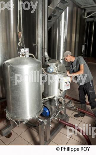 Vinification, Vins de Bordeaux, Filtration (33V31104.jpg)