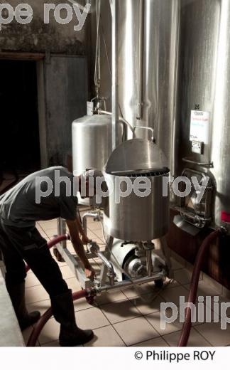 Vinification, Vins de Bordeaux, Filtration (33V31105.jpg)