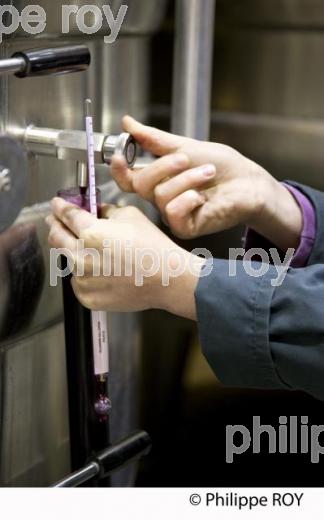 Vinification, Vins de Bordeaux, (33V31109.jpg)