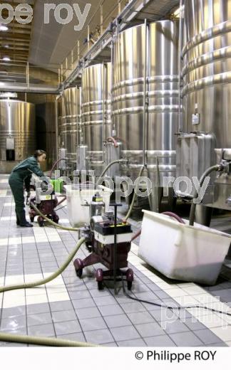 Vinification, Vins de Bordeaux, (33V31111.jpg)