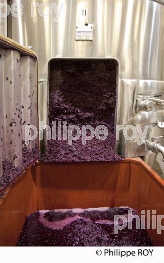 Vinification, Vins de Bordeaux, Ecoulage (33V31120.jpg)