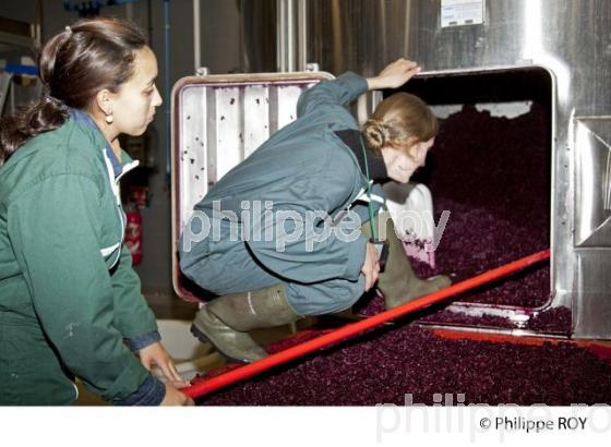 Vinification, Vins de Bordeaux, Ecoulage (33V31204.jpg)