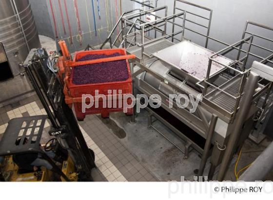 Vinification, Vins de Bordeaux, Ecoulage (33V31214.jpg)