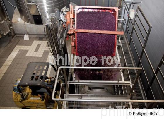 Vinification, Vins de Bordeaux, Ecoulage (33V31215.jpg)