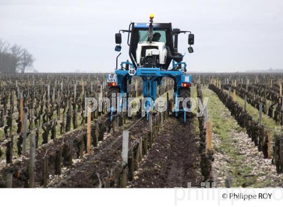 Travail de sol  - Vignoble du Medoc-Gironde (33V31331.jpg)