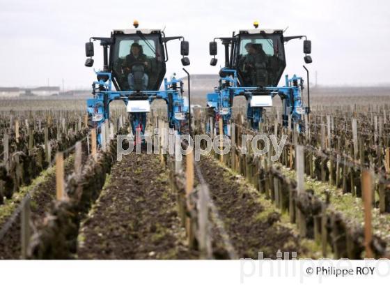 Travail de sol  - Vignoble du Medoc-Gironde (33V31412.jpg)