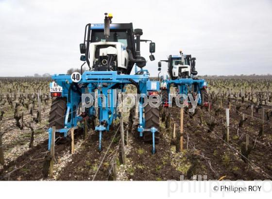 Travail de sol  - Vignoble du Medoc-Gironde (33V31413.jpg)
