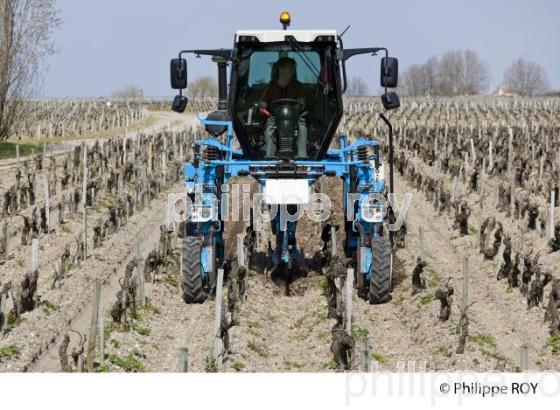 Travail de sol  - Vignoble du Medoc-Gironde (33V31418.jpg)