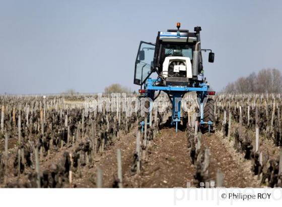 Travail de sol  - Vignoble du Medoc-Gironde (33V31419.jpg)