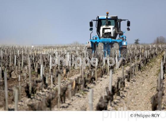 Travail de sol  - Vignoble du Medoc-Gironde (33V31420.jpg)