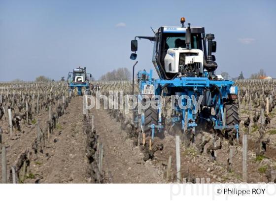 Travail de sol  - Vignoble du Medoc-Gironde (33V31421.jpg)