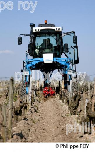 Travail de sol  - Vignoble du Medoc-Gironde (33V31428.jpg)