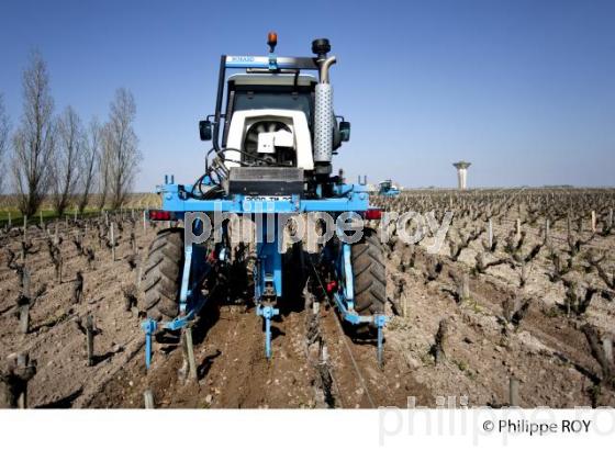 Travail de sol  - Vignoble du Medoc-Gironde (33V31437.jpg)