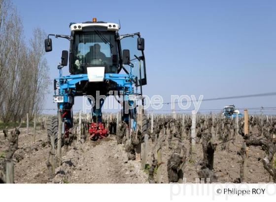 Travail de sol  - Vignoble du Medoc-Gironde (33V31440.jpg)