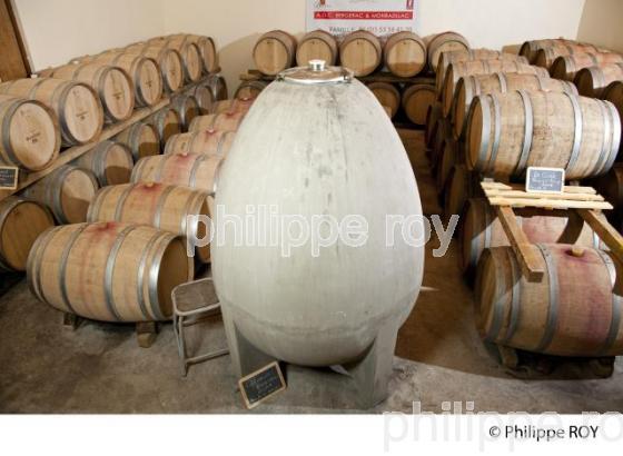 Cuve ovoide - Chai - Vin de Bergerac (33V31614.jpg)