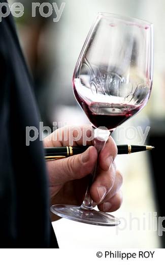 DEGUSTATION,  VINS PRIMEURS, VERRE DE VIN ROUGE, SAINT EMILION,  VINS DE BORDEAUX. (33V31726-ok.jpg)