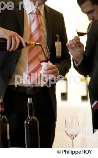 DEGUSTATION, VINS DE BORDEAUX  EN PRIMEUR, SAINT EMILION (33V31734.jpg)