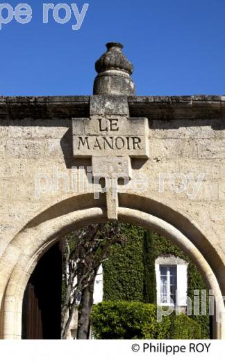LE MANOIR, SAINT EMILION, VINS DE BORDEAUX (33V31830.jpg)