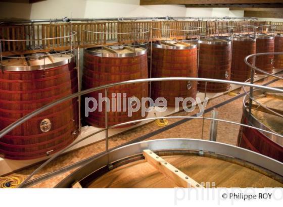 Cuverie en bois , chateau Cantemerle , Medoc (33V31915.jpg)