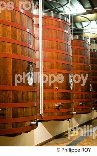 Cuverie en bois , chateau Cantemerle , Medoc (33V31918.jpg)