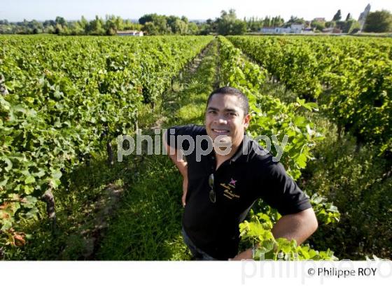 M. Olivier Cadarbacasse, CHATEAU MOULIN DE BEAUSEJOUR (33V32007.jpg)