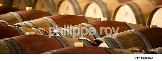 Vignoble de bordeaux, domaine de claouset (33V32039.jpg)