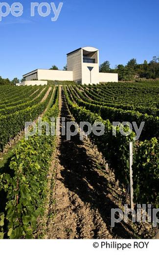 CHATEAU FAUGERES (33V32126.jpg)
