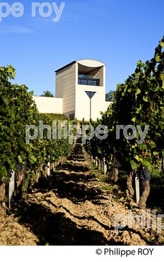 CHATEAU FAUGERES (33V32127.jpg)