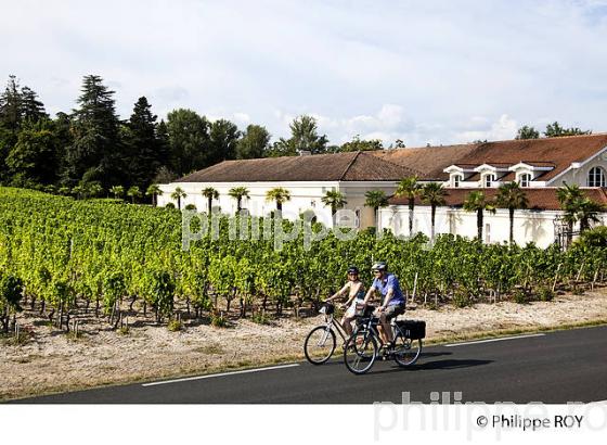 CYCLOTOURISME, VIGNOBLE DE BORDEAUX (33V32129.jpg)