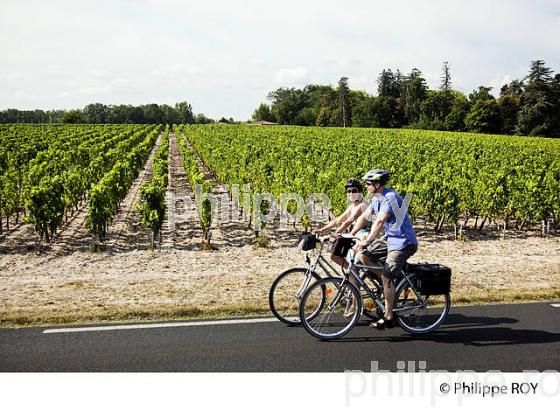 CYCLOTOURISME, VIGNOBLE DE BORDEAUX (33V32131.jpg)