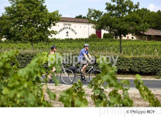 CYCLOTOURISME, VIGNOBLE DE BORDEAUX (33V32209.jpg)